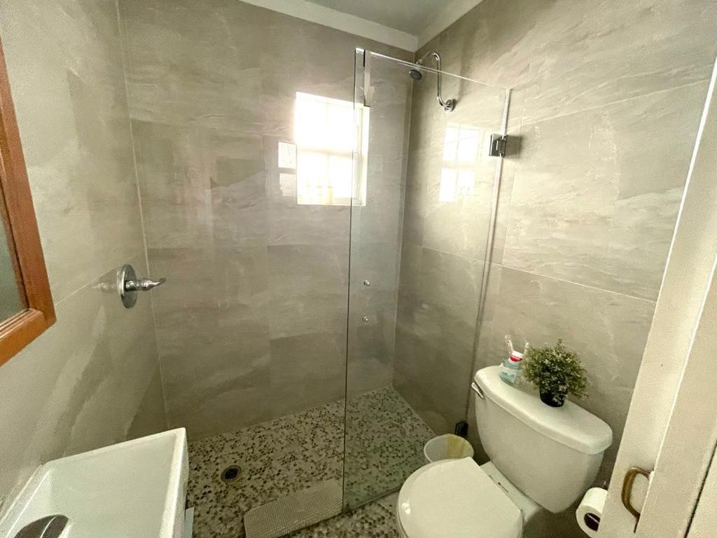 Cozy Room In The Heart Of Little Havana Μαϊάμι Εξωτερικό φωτογραφία